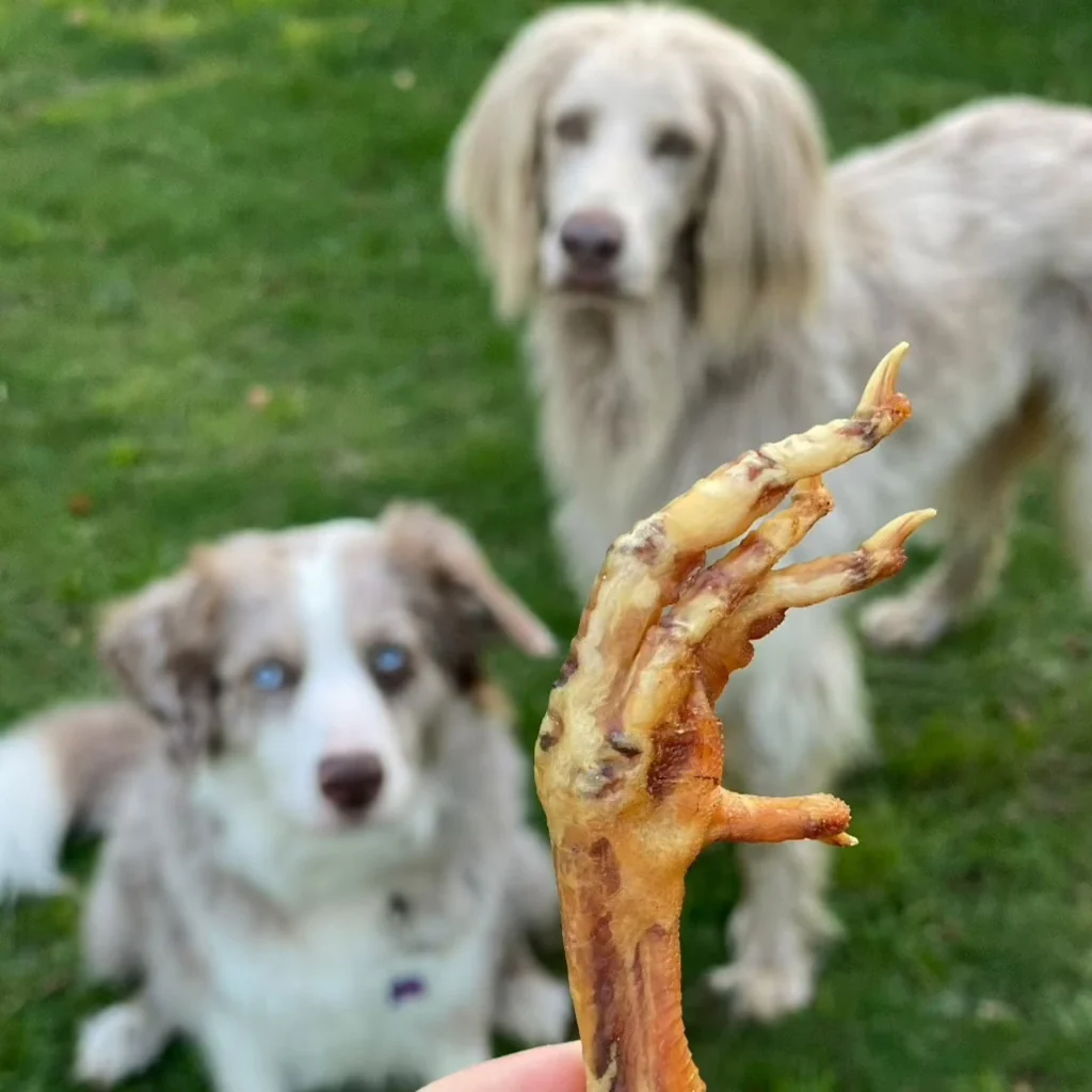 CRUNCHI PATAS DE POLLO X 1 KILO