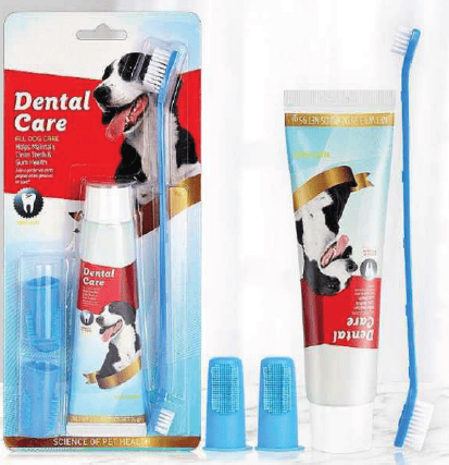 KIT DENTAL
