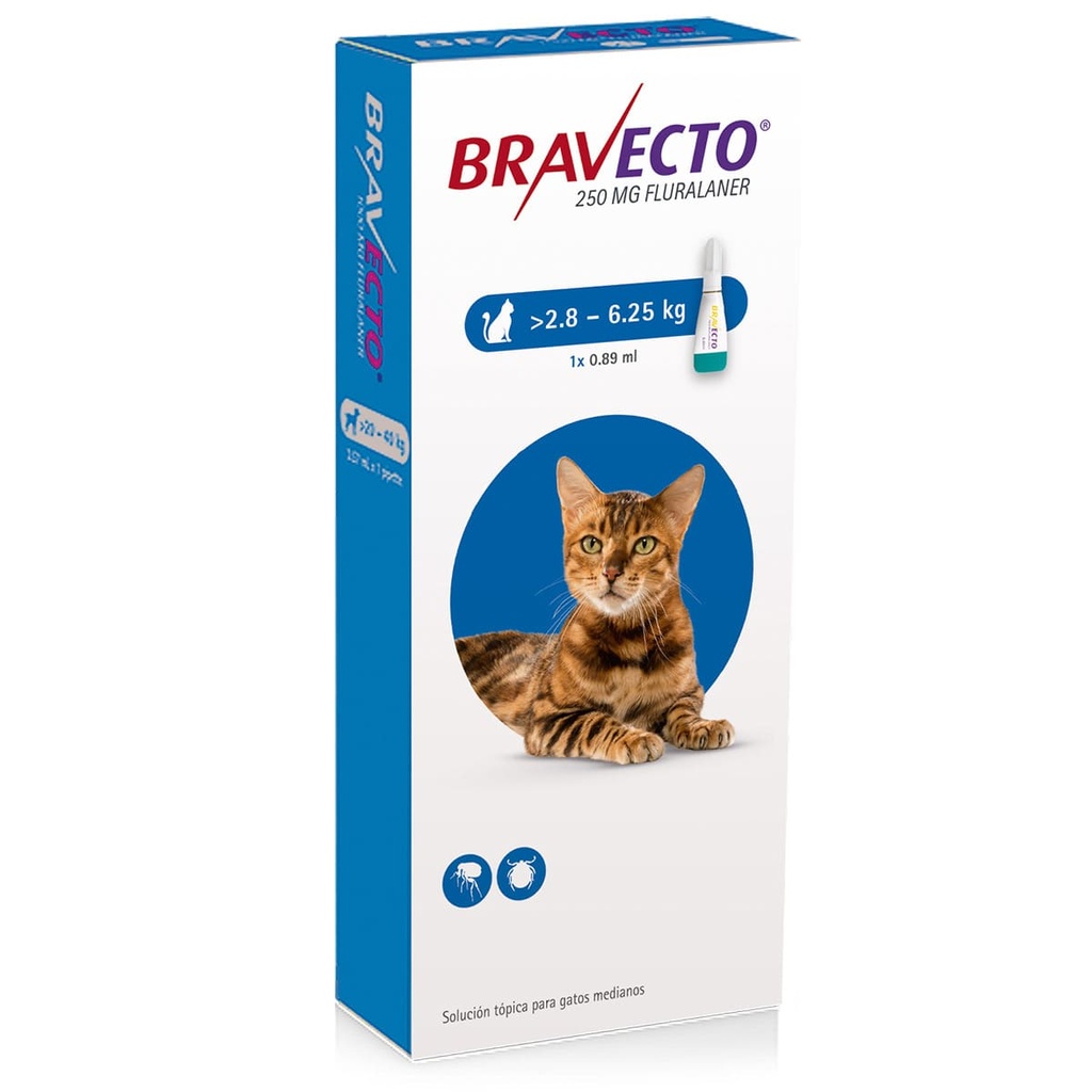 BRAVECTO GATO 2.8 - 6.25 Kg 
