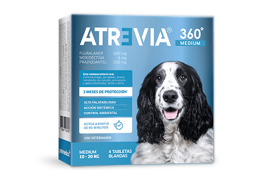 ATREVIA 360  MEDIUM 10 - 20 KG X 1 TAB