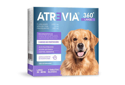 ATREVIA 360 LARGE 20 - 40 KG X 1 TAB