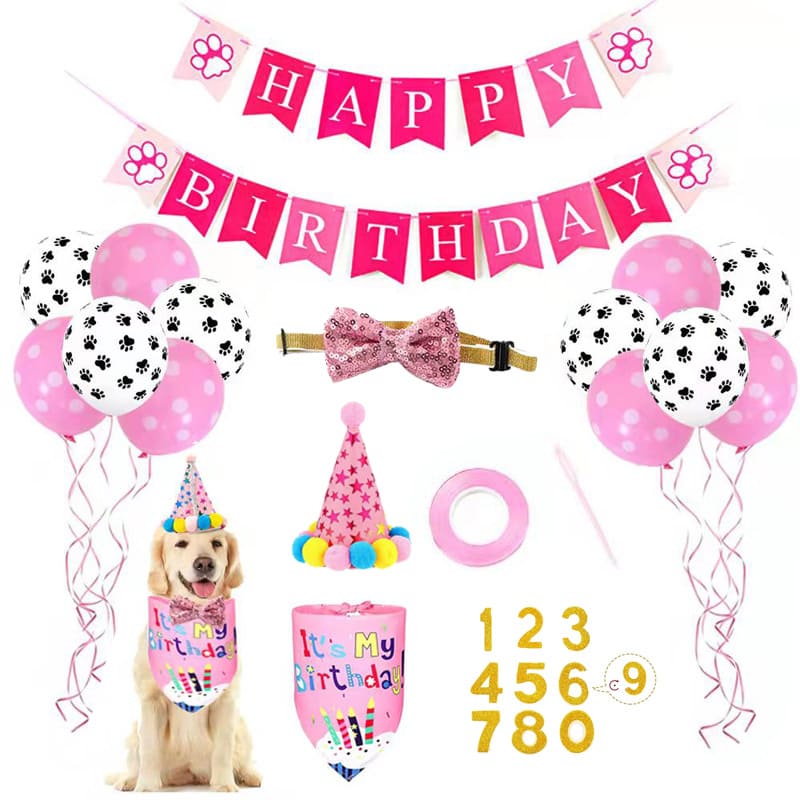 KIT DE CUMPLEAÑOS HEMBRA