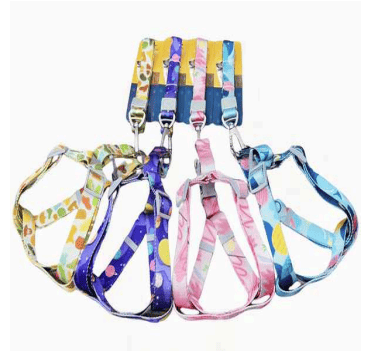 DN22000148 ARNES T-L