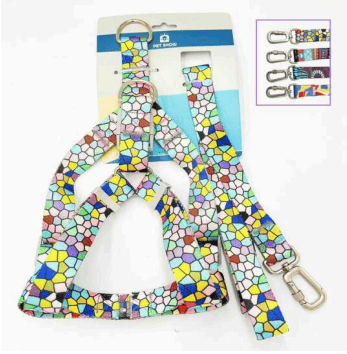 DN2200126 ARNÉS T-L