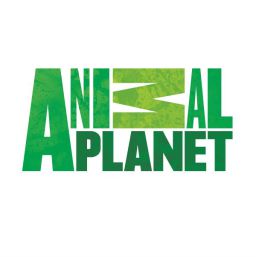 ANIMAL PLANET