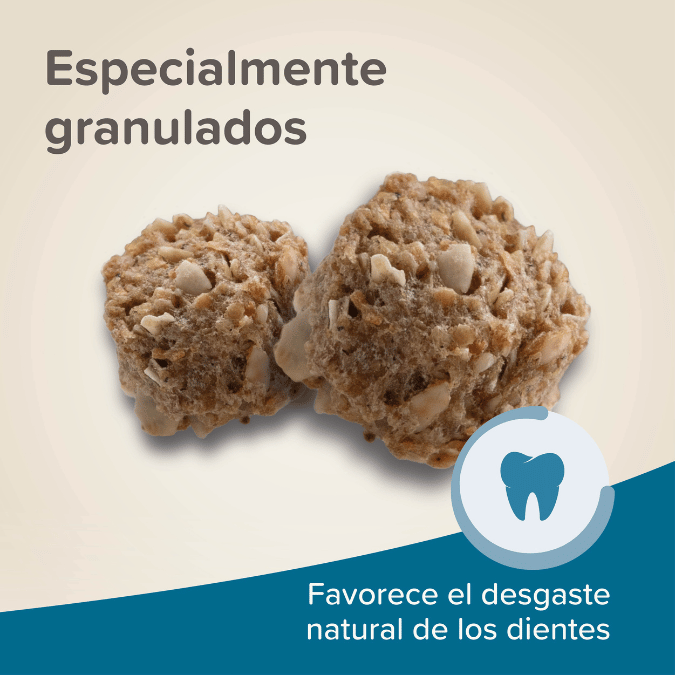 BEAPHAR CONEJO JUNIOR 250 G