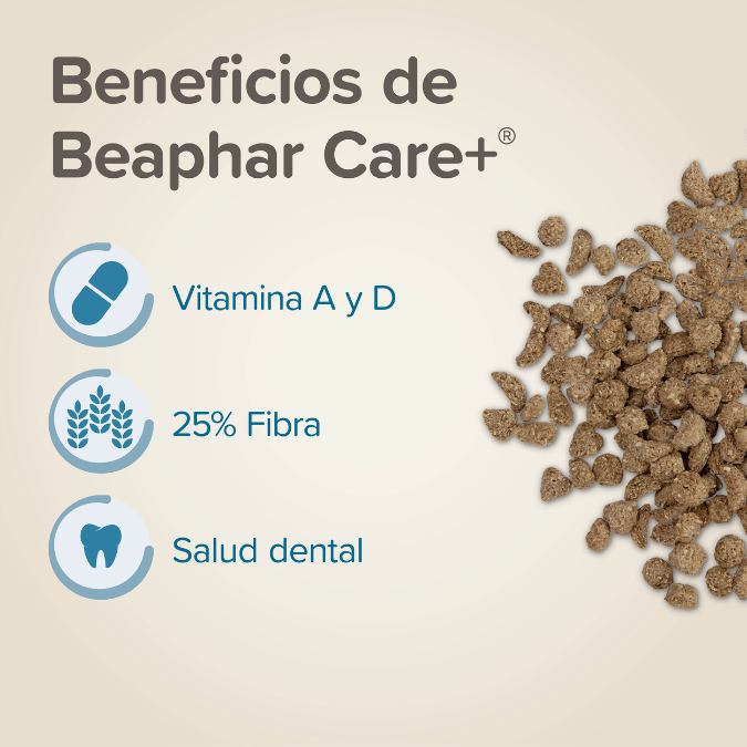 BEAPHAR CONEJO JUNIOR 250 G