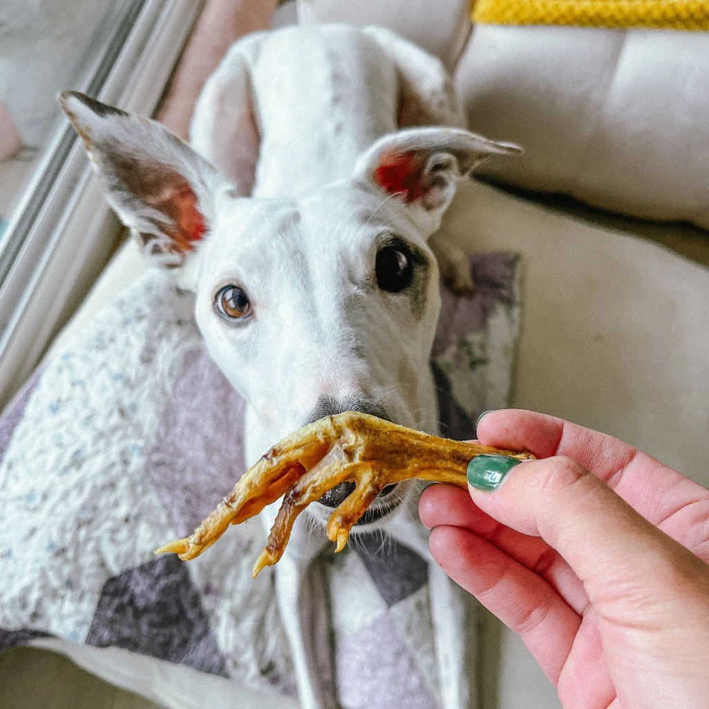 CRUNCHI PATAS DE POLLO X 10 UNIDADES