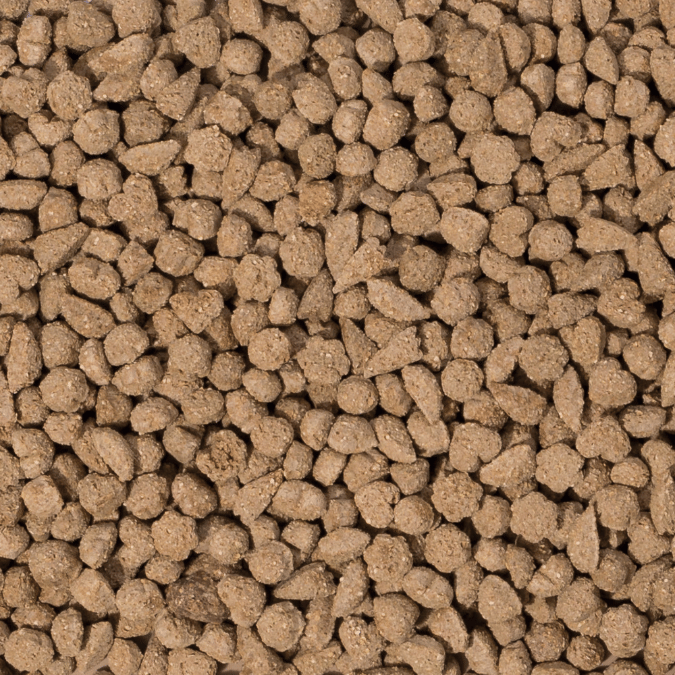 BEAPHAR CONEJO ADULTO 250 G