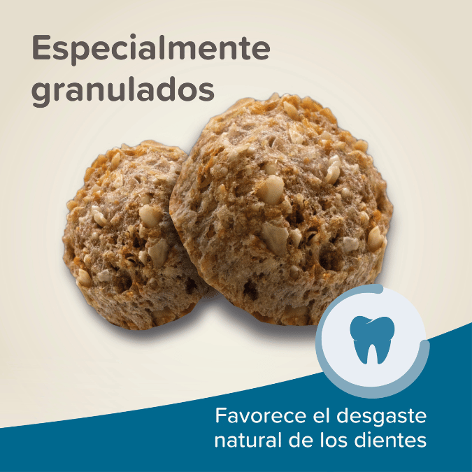 BEAPHAR CONEJO ADULTO 250 G