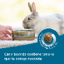 BEAPHAR CONEJO ADULTO 1.5 KG