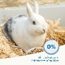 BEAPHAR CONEJO SENIOR 1.5 KG