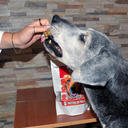 CRUNCHI PATAS DE POLLO X 1 KILO