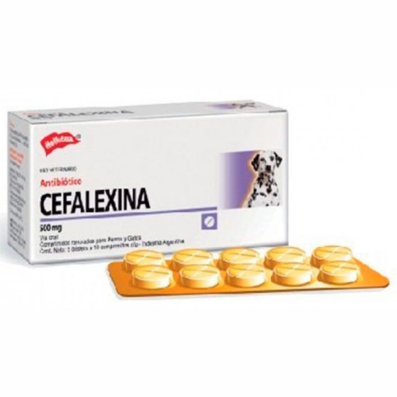 CEFALEXINA 500 MG X 1 UNI