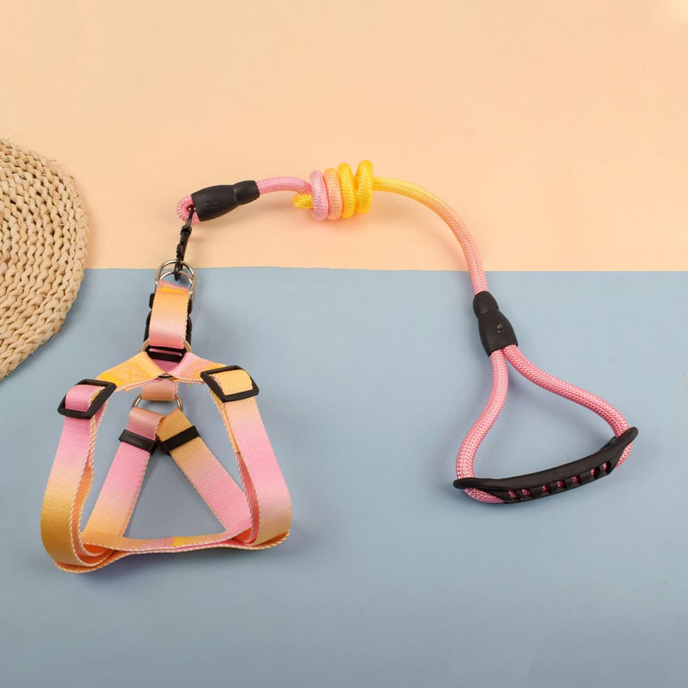 ARNÉS NYLON COLORES DEGRADÉ T-M