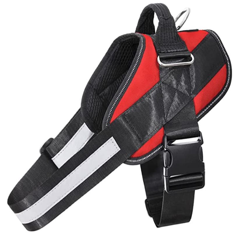  PECHERA ACOLCHADA NUNBELL T-S (7-15 KG)