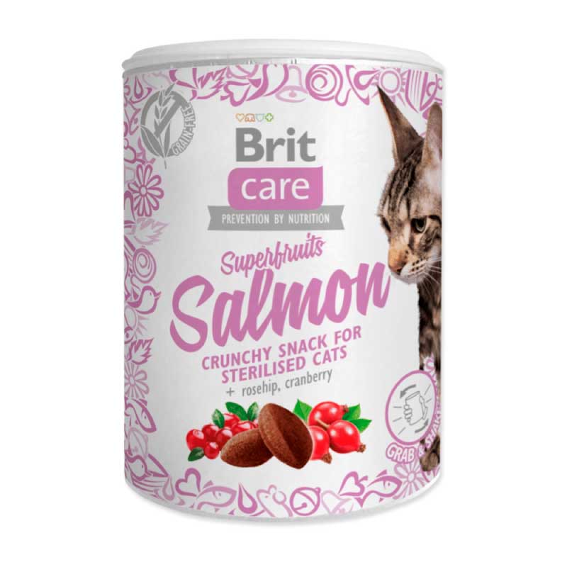 BRIT CARE CAT SNACK SUPERFRUITS SALMON 100 G