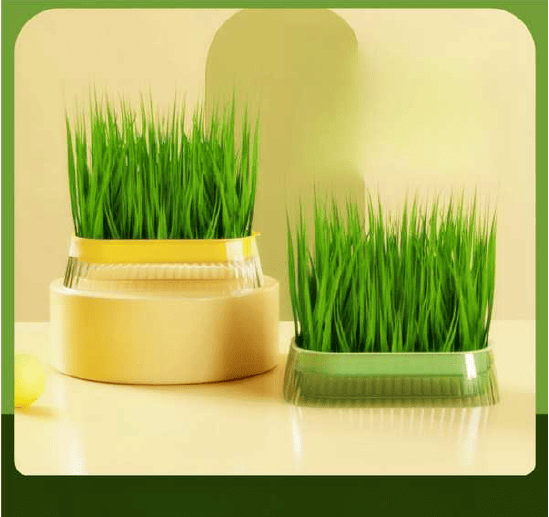 BANDEJA PARA GRASS CON SEMILLAS