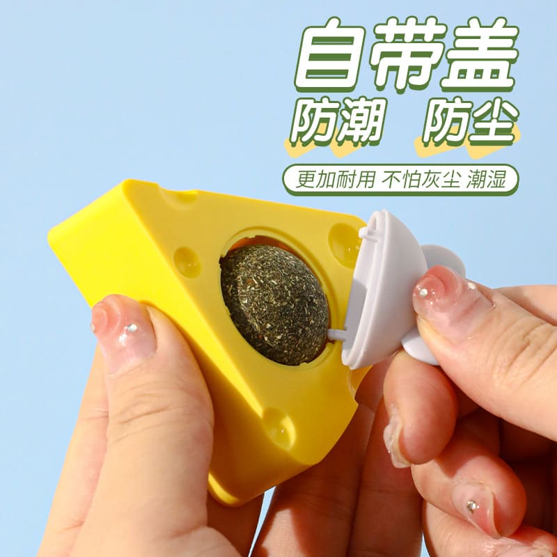 QUESO CON ESFERA DE CATNIP