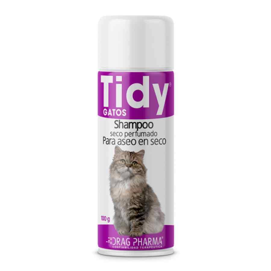 TIDY GATOS SHAMPO SECO 100 G