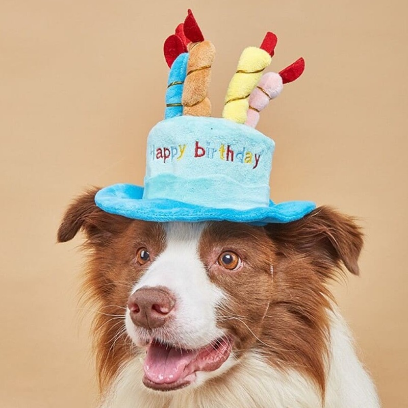  GORRO DE CUMPLEAÑOS MEDIANO