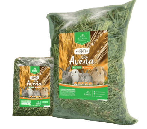 HENO DE AVENA 1 KG
