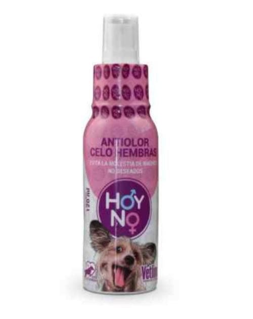 HOY NO FRASCO X 120 ML 