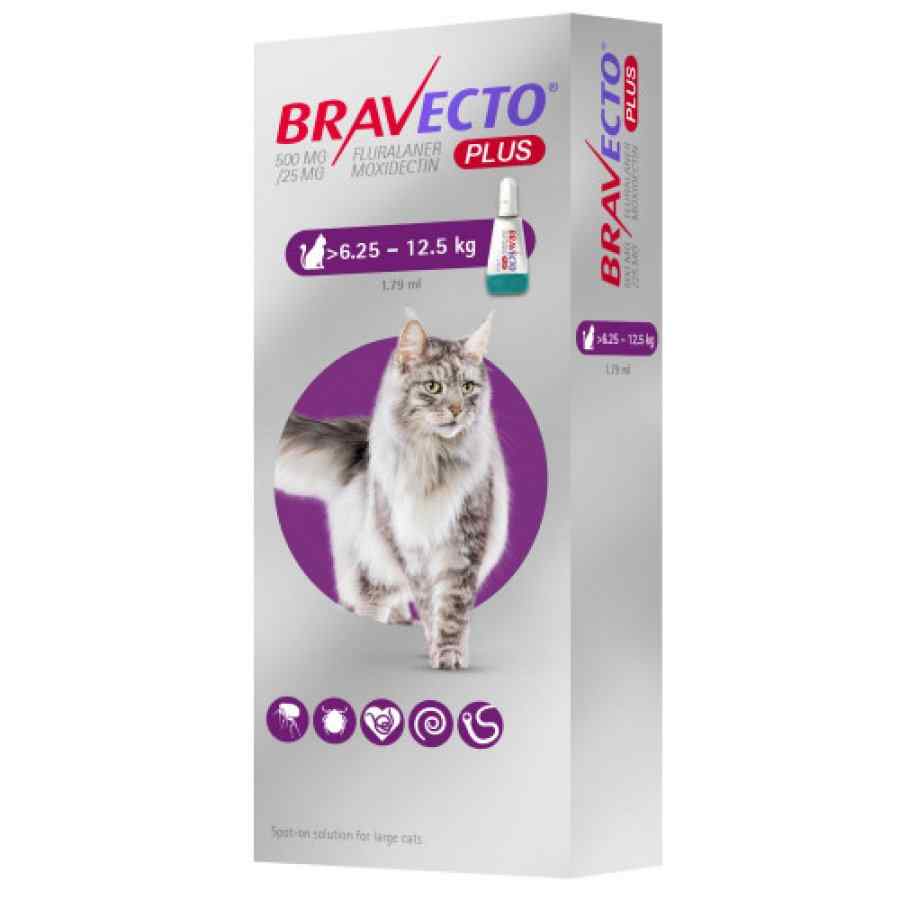 BRAVECTO GATO 6.25 - 12.25 Kg 