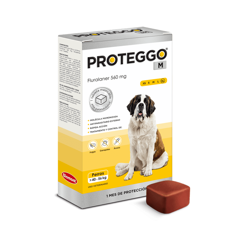 PROTEGGO 1M 40 - 56 KG  X 1 TAB