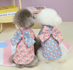 JL25 CASACA CON LAZO EN ESPALDA