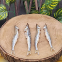 CRUNCHI PEJERREY X 4 UNID