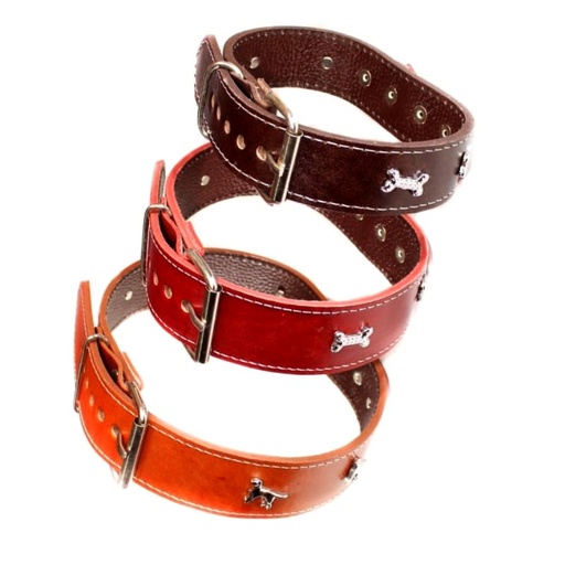 [1000971] ACCECAN COLLAR AMERICANO T-XL