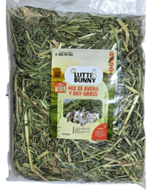  MR LUTTY HENO AVENA + RAYGRASS 1 KG