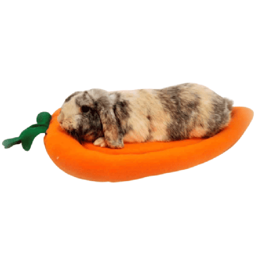 CAMA ZANAHORIA MICROPOLAR 60*48*5 CM
