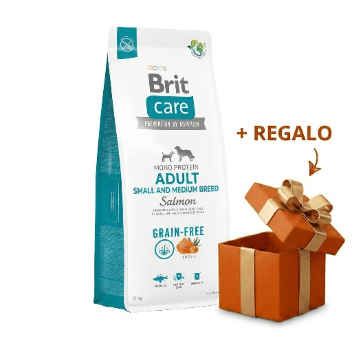 BRIT CARE ADULTO SALMÓN 12 KG