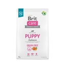 BRIT CARE PUPPY SALMÓN 3 KG