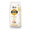 BRIT FRESH ADULT CHICKEN WITH POTATO GREAT LIFE 12 KG