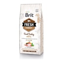 BRIT FRESH LIGHT TURKEY 12 KG