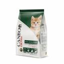 CANBO GATITOS 1 KG