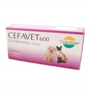 CEFAVET 600 X 1 PASTILLA