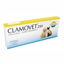 CLAMOVET 250 X 1 PASTILLA