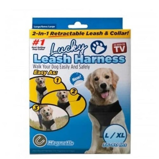 [1013142] CORREA Y ARNES MAGNETICO T-L