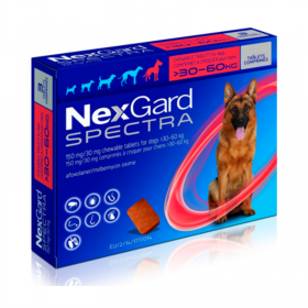NEXGARD SPECTRA 30 - 60 KG X 1 TAB