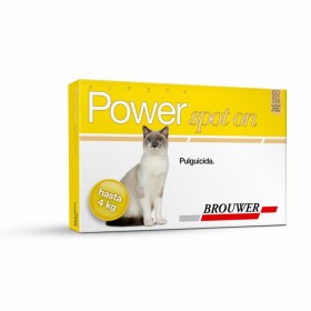 POWER GATO 0 - 4 KG