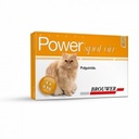 POWER GATO 4 - 8 KG