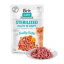 BRIT CARE CAT FILLETS IN GRAVY WITH HEALTHY RABBIT 85 G