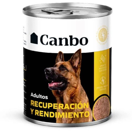 CANBO LATA RECUPERACIÓN Y RENDIMIENTO 330 G