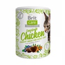 BRIT CARE CAT SNACK SUPERFRUITS CHICKEN 100 G