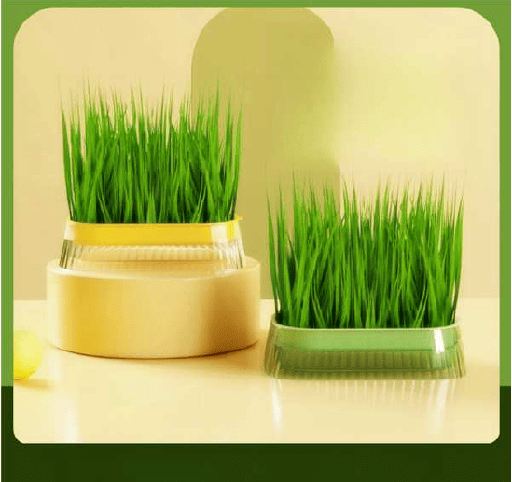 BANDEJA PARA GRASS CON SEMILLAS