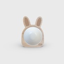 PLATO DE MADERA MODELO CONEJITO 18*24*6CM